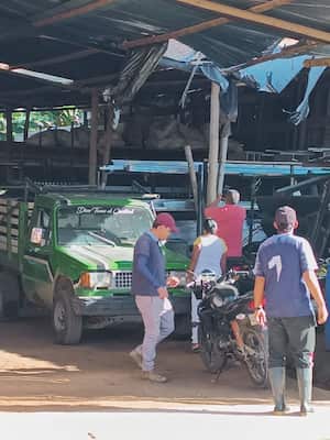 Ataque con dron en El Plateado, Argelia