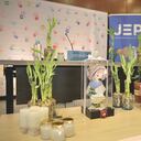 JEP anunció imputación contra excomandantes de las Farc por reclutamiento infantil en el conflicto armado.