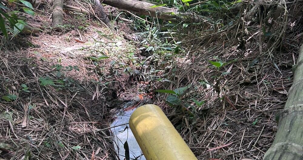 Dos empresas avícolas estaban realizando vertimiento de desechos en fuentes hídricas. La CAR las suspendió