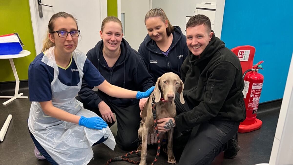 En la actualización más reciente, dijo que más de 2.300 personas han hecho donaciones, con aportes que ya suman cerca de 32.000 libras esterlinas.