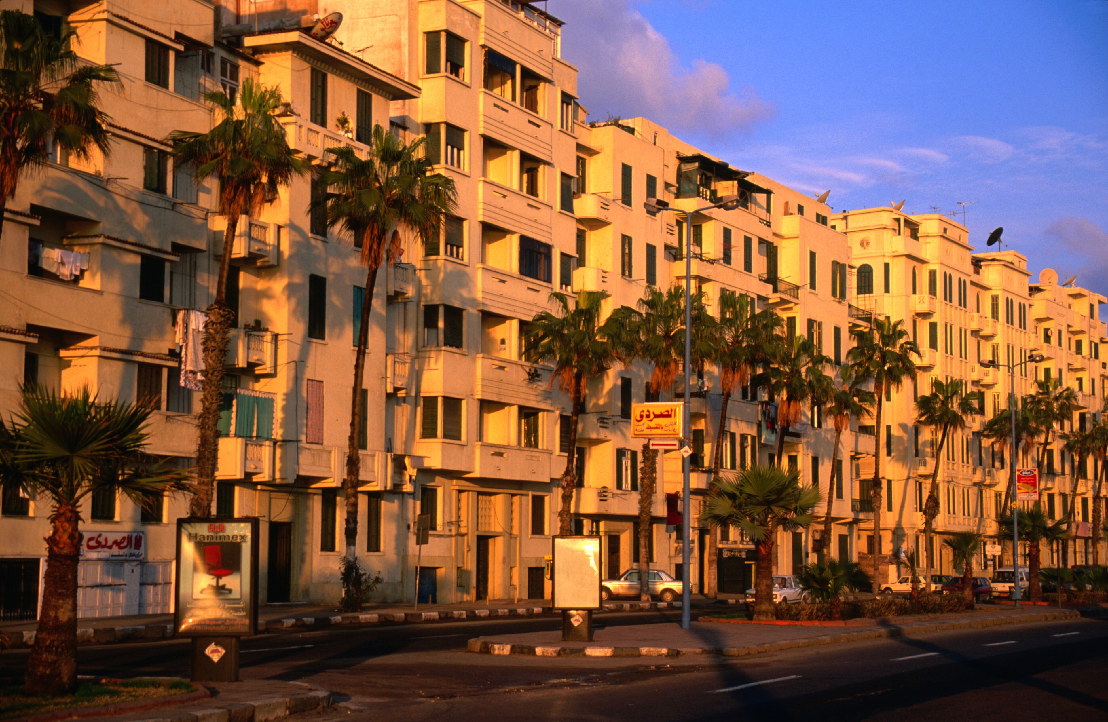 Para mitigar esta crisis, los expertos proponen una solución basada en la naturaleza.