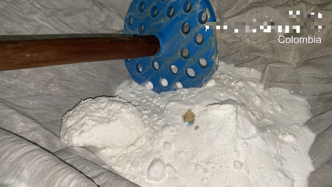 Cae red de narcotráfico que usaba camas de perros para enviar cocaína a Europa; hay 11 capturados. Imagen de referencia.