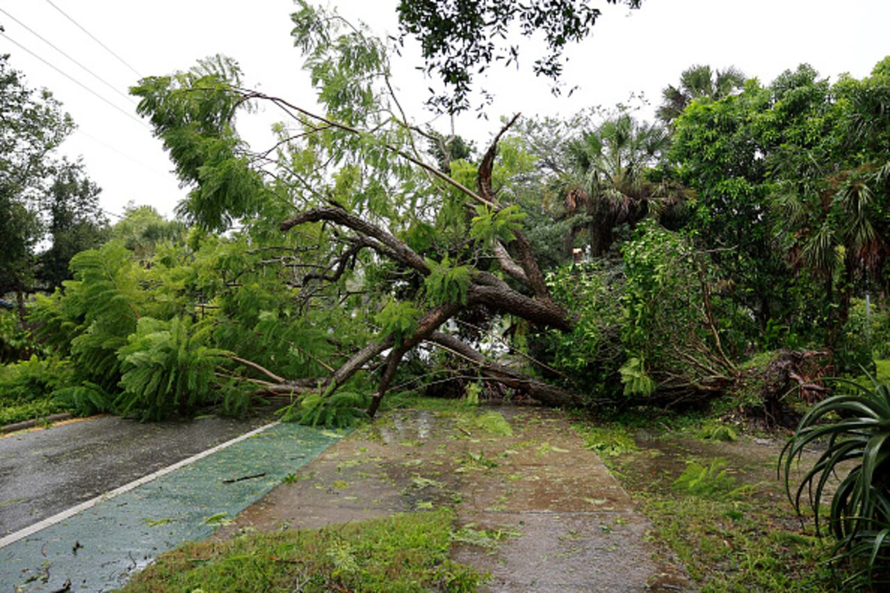 El huracán Ian ya ha causado la caída de árboles en Sarasota (Florida), y continúa su avance al mismo tiempo que se fortalece.