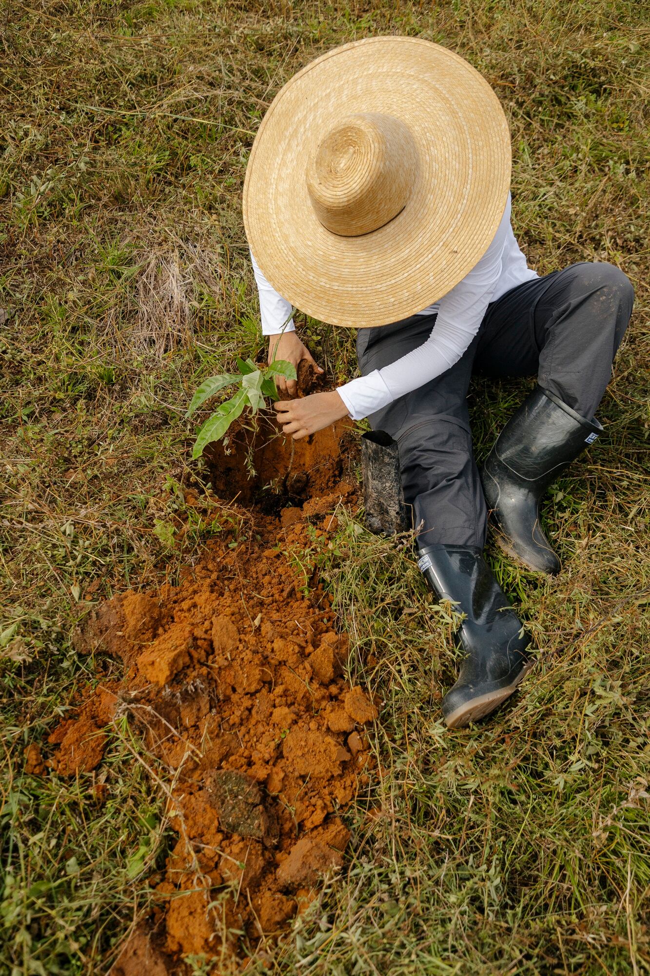 Reserva Natural de la Sociedad Civil O2 Reserve