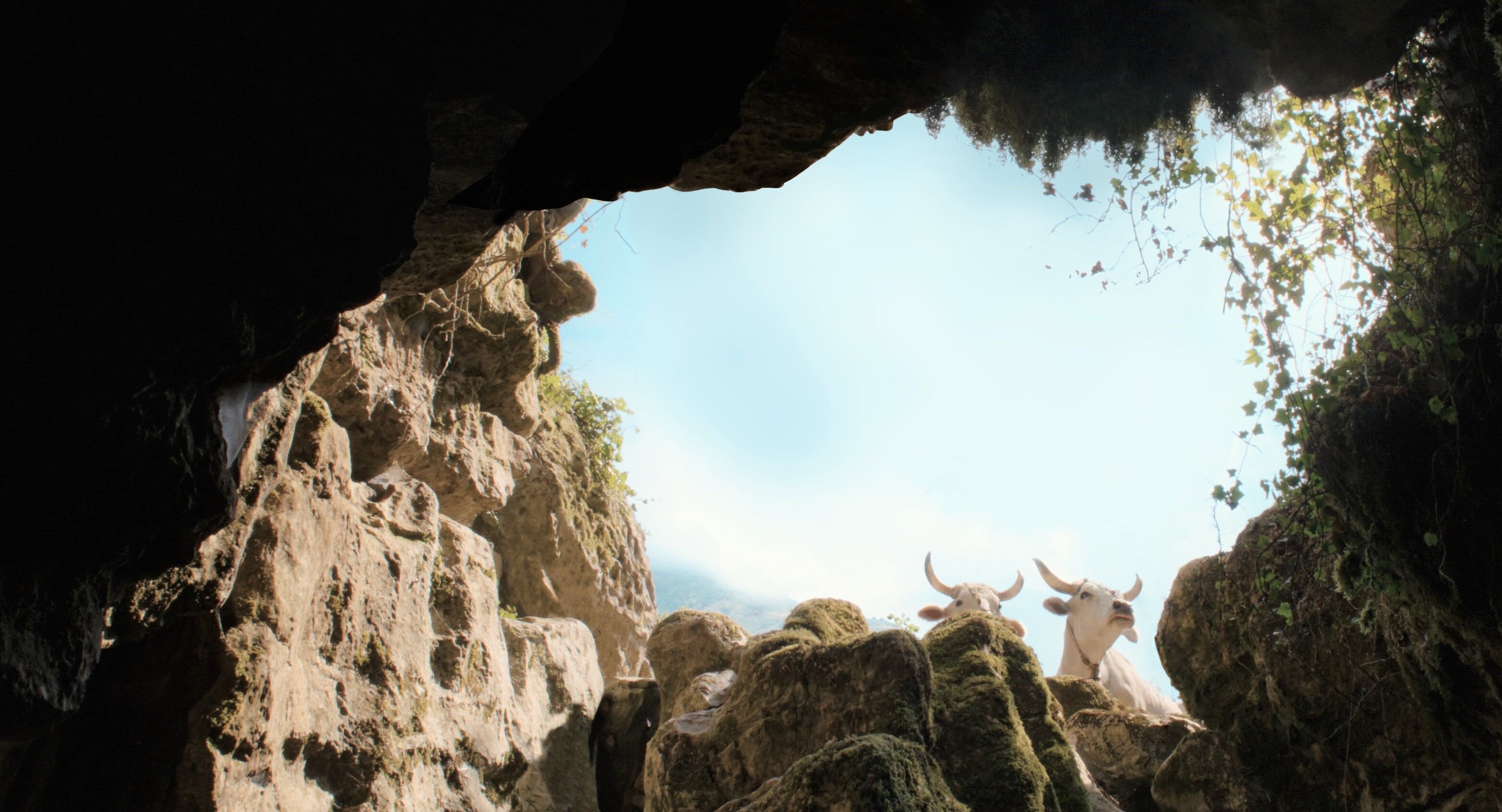 IL BUCO - Official still