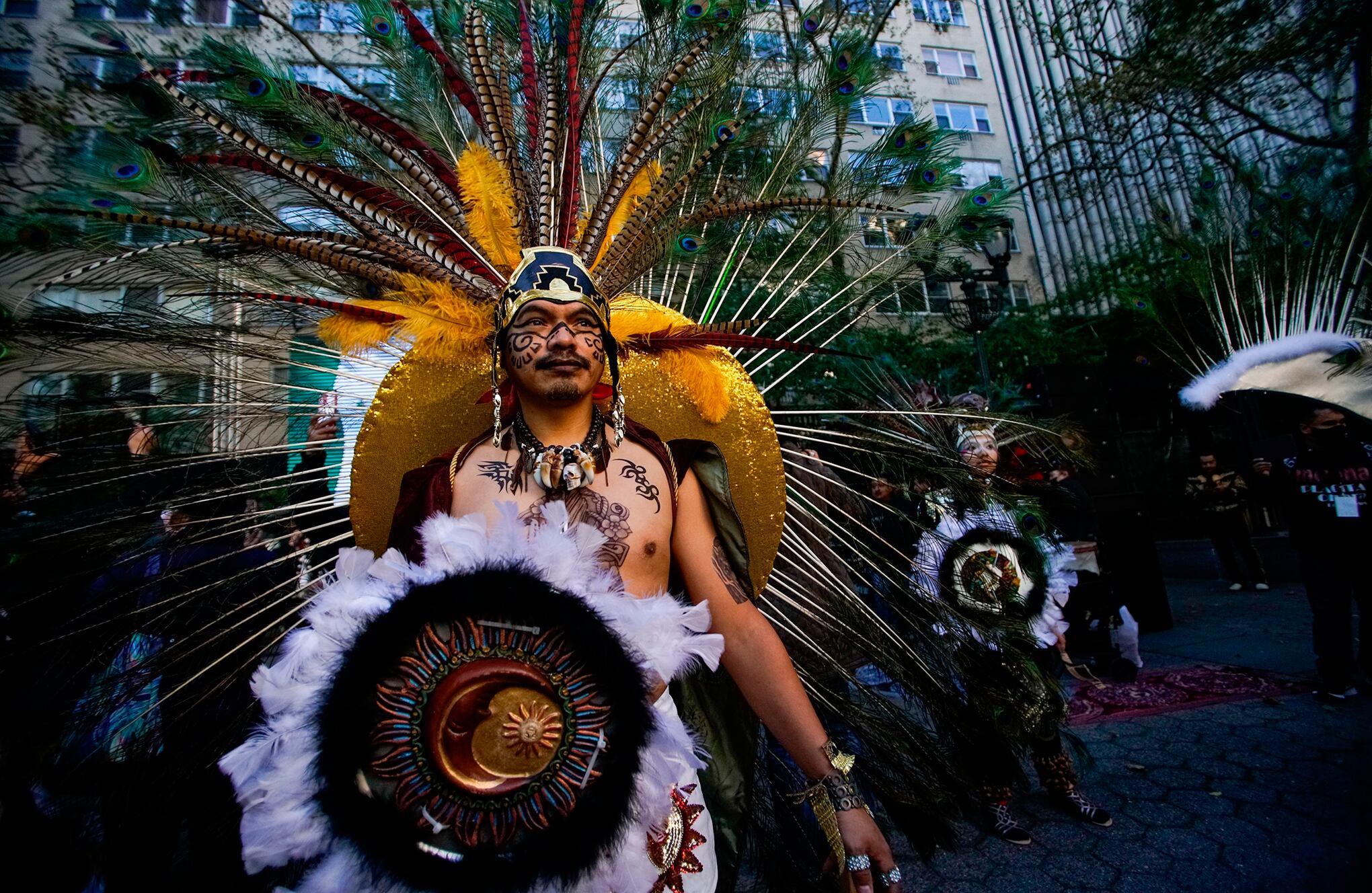 Fotos de la semana 12 nov