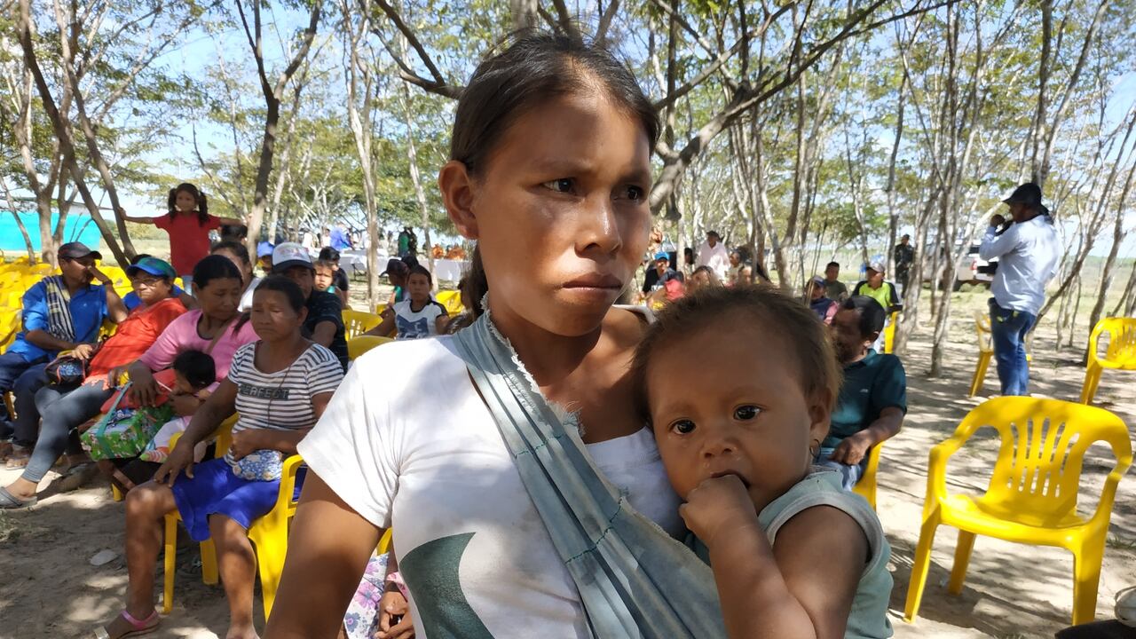 Más de 60 familias indígenas del Vichada fueron declaradas como dueñas de sus tierras ancestrales.