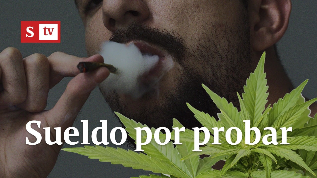 Sueldo por probar