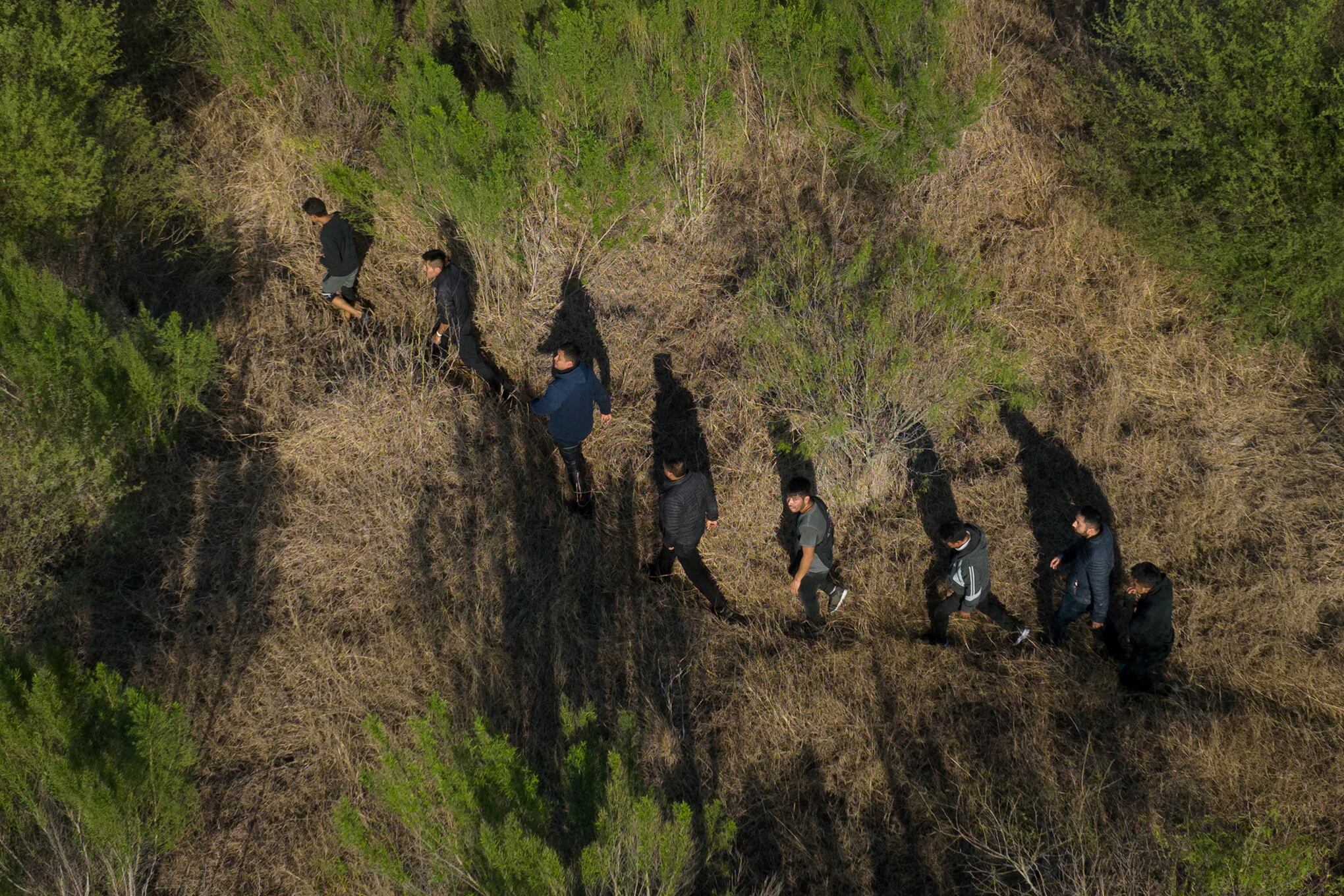 Fotos de la semana 25 feb