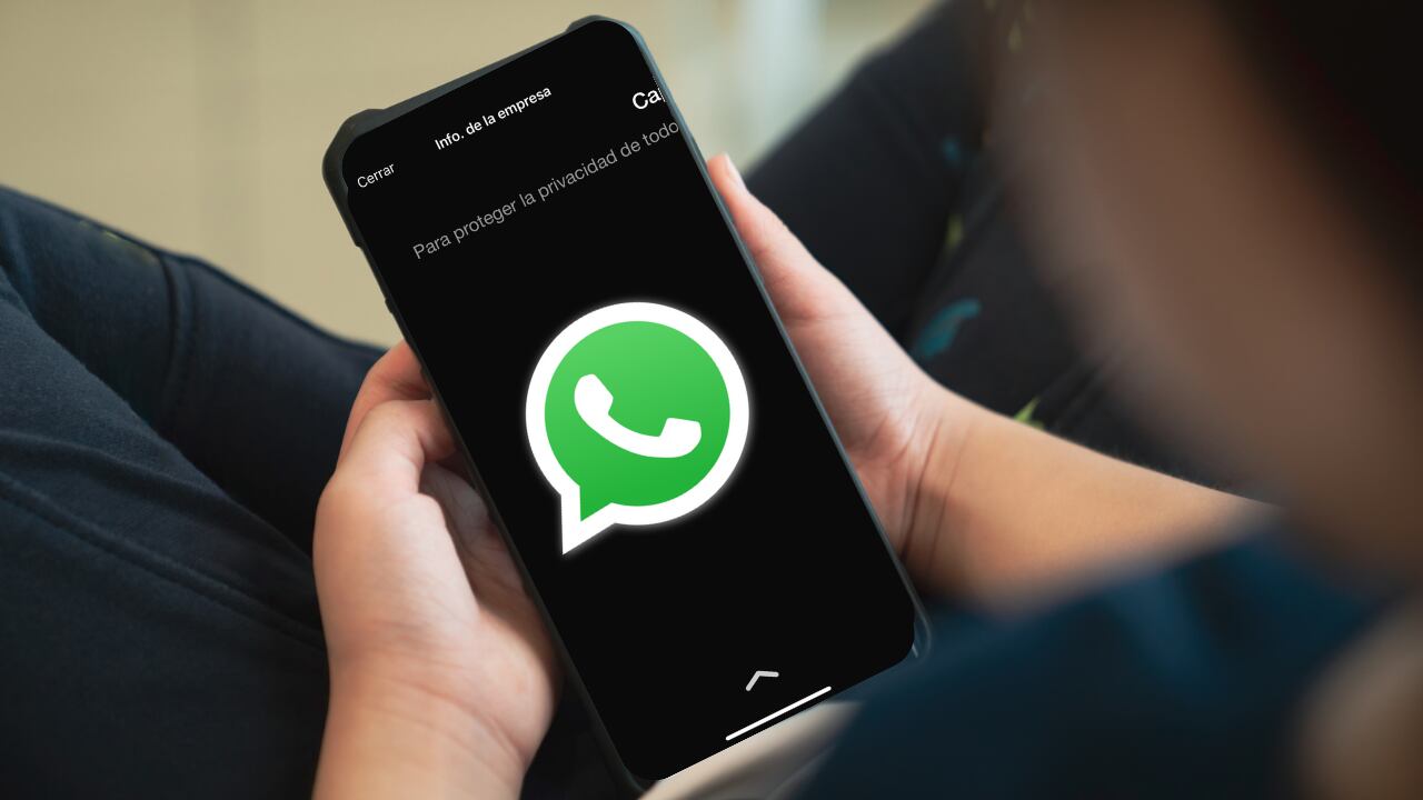WhatsApp bloquea las capturas de pantalla de las fotos de perfil para mejorar la privacidad de sus usuarios.