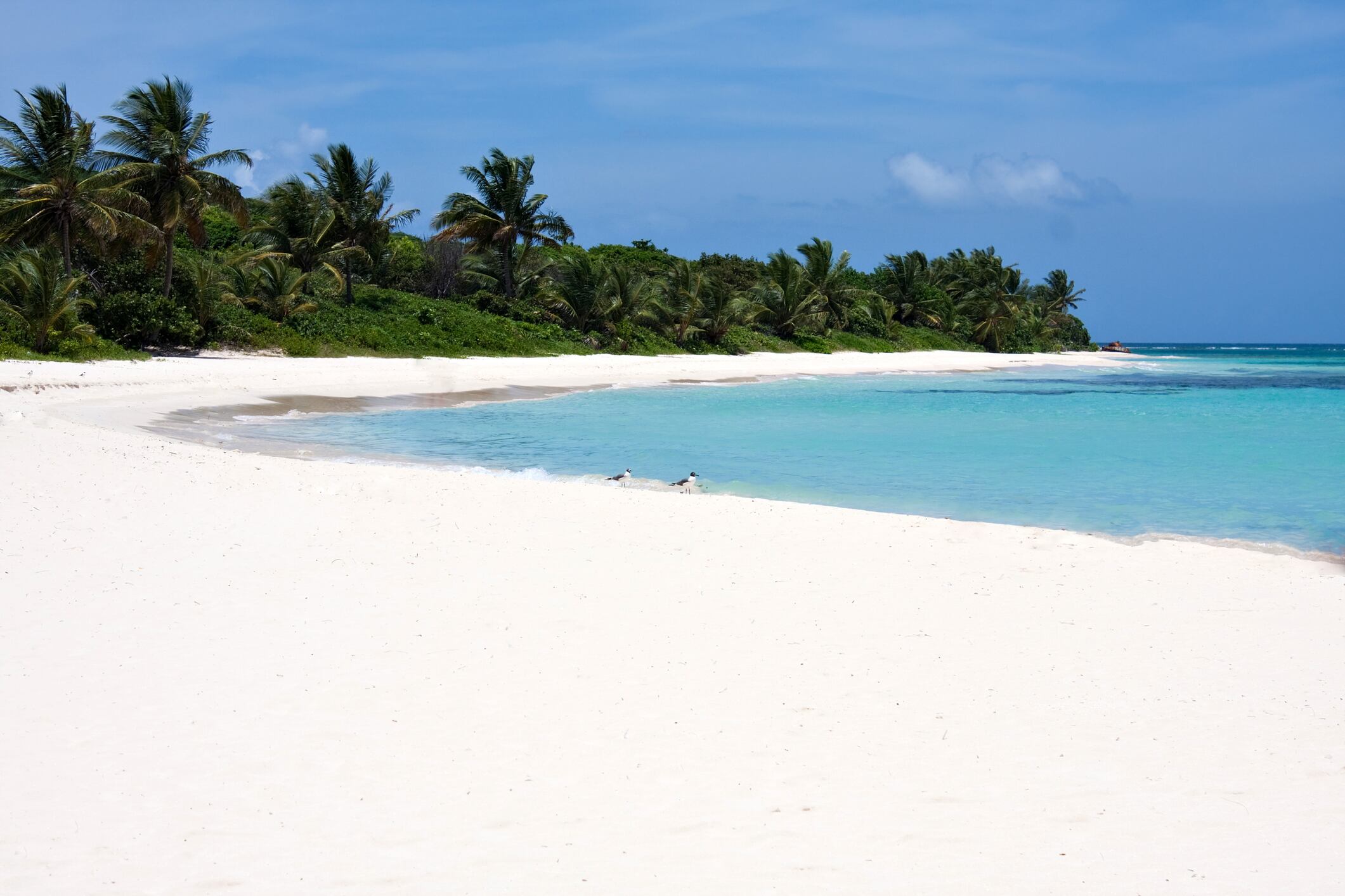 Flamenco Beach, en Culebra (Puerto Rico)