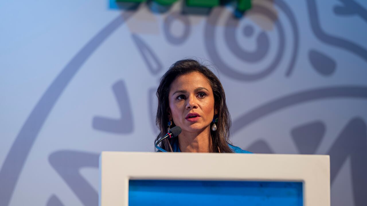 Luz Stella Murgas, presidente de Naturgas