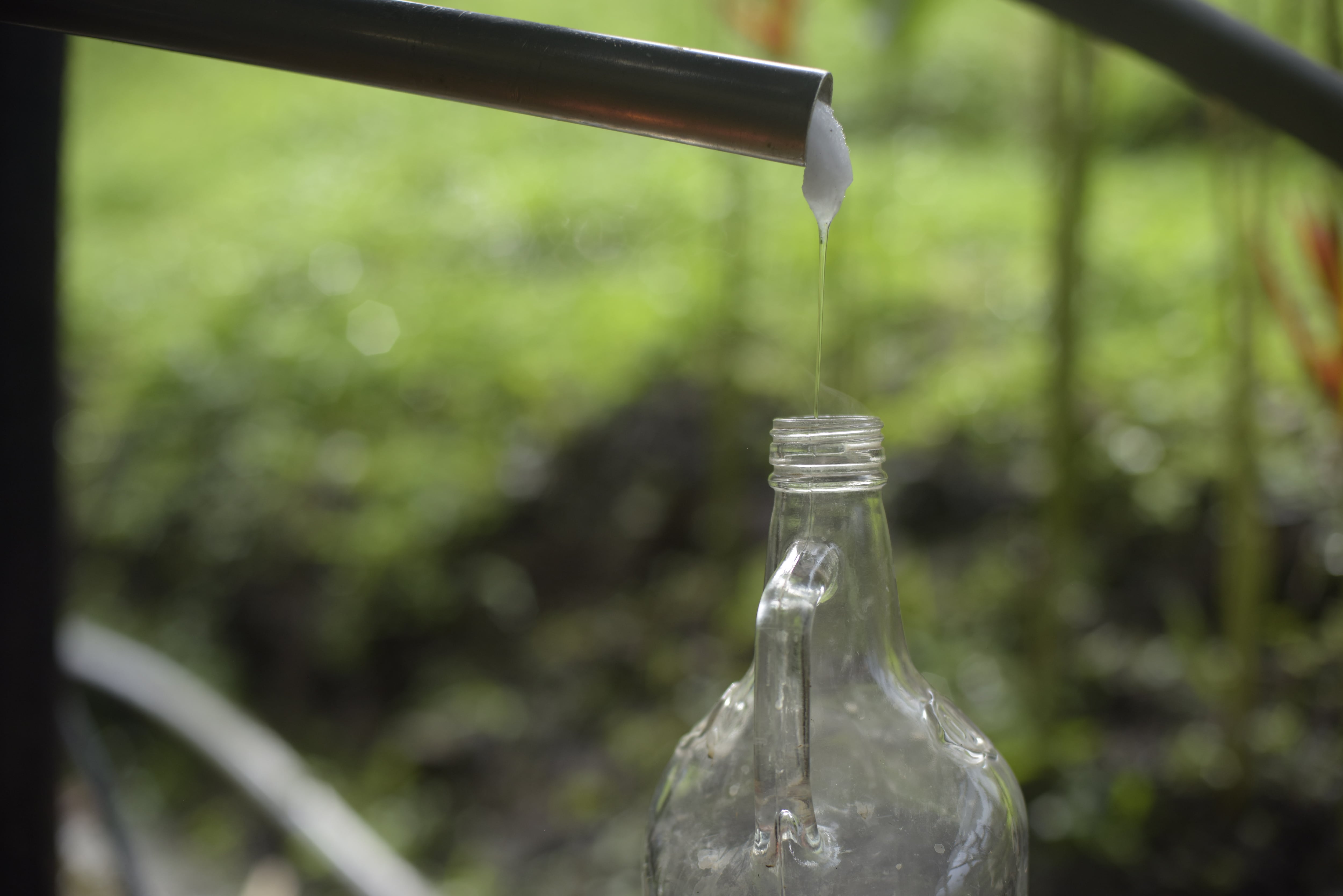 Viche saliendo del proceso final de producción. Foto: MinCultura