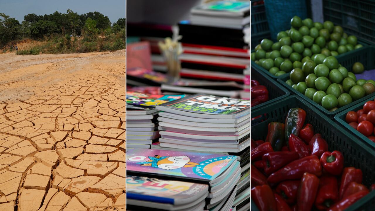 Factores como el fenómeno de El Niño, la temporada escolar y los mismos alimentos por efectos climáticos son algunos de los factores para tener en cuenta en la inflación de febrero.