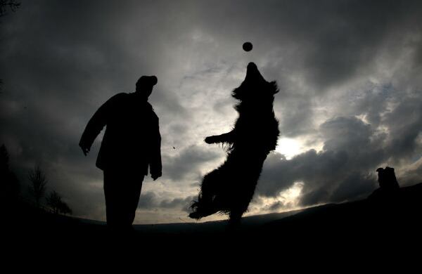 Un hombre juega con su perro en Grossenwieden, en el norte de Alemania. (AP)