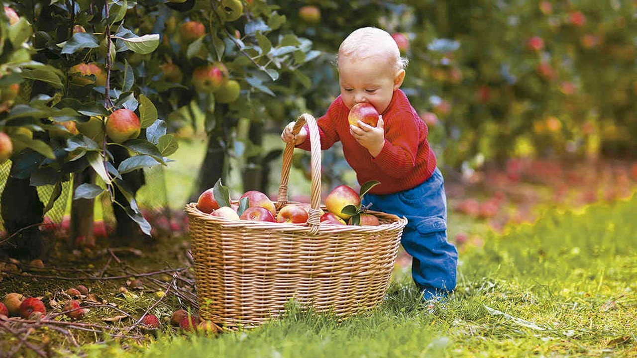 El contacto con la naturaleza y la cercanía a un entorno verde tienen efectos terapeúticos y ayudan al manejo del trastorno de déficit de atención. (Foto: 123rf)
