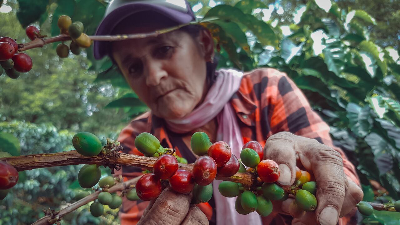 Muchas mujeres trabajan, pero no generan ingresos. (Imagen de referencia).