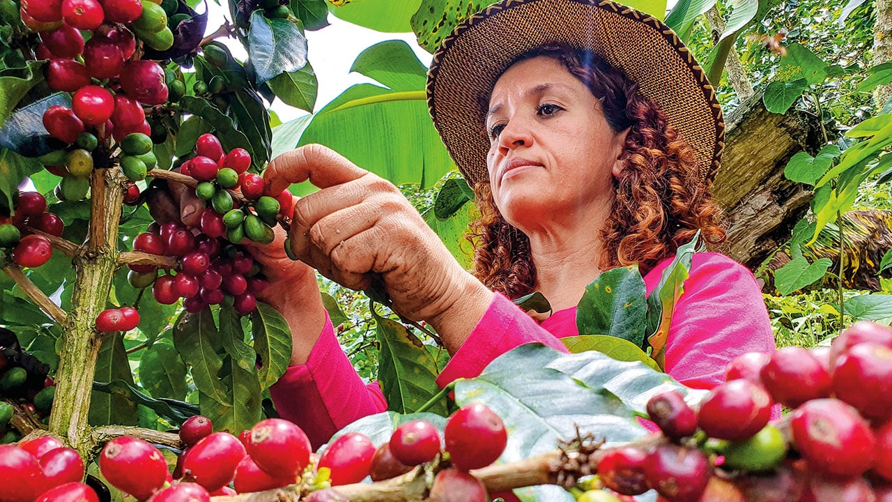 CAF ha puesto en marcha Prosperidad Agropecuaria, una estrategia integral destinada a impulsar una transformación sostenible, productiva e inclusiva del sector.