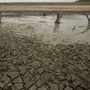 La Guajira, norte de Magdalena, Sucre, oriente de Santander y Boyacá, centro de Cundinamarca, sectores de Huila, Valle, Cauca y Nariño y sectores de Arauca y Casanare pueden registrar déficit de lluvias en primer semestre de 2015.