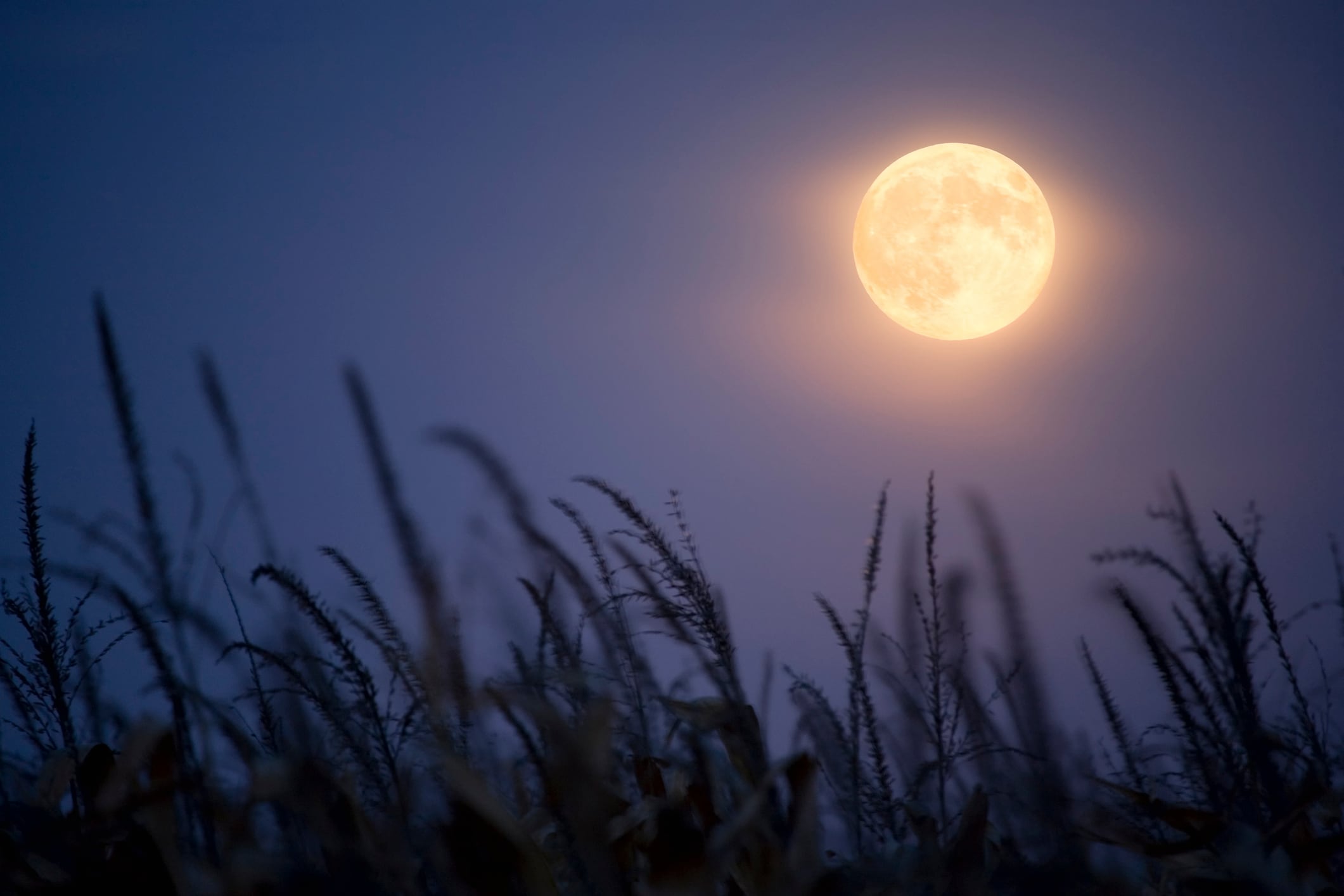 Durante varias noches, la Luna puede aportar luz poco después de la puesta del Sol.