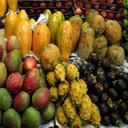 El ICA está a la espera de que la División de Cooperación Internacional de Cuarentena de Corea establezca los requisitos para la exportación de pitahaya hacia ese mercado.