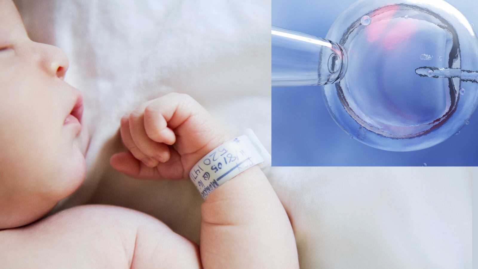 Trump impulsa la fecundación in vitro con órdenes ejecutivas