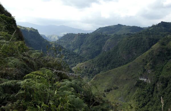 El parque se sitúa en el valle alto del río Magdalena, al sur del Huila. El viaje en carro desde Bogotá comprende 570 kilómetros y puede tardar cerca de 10 horas.   