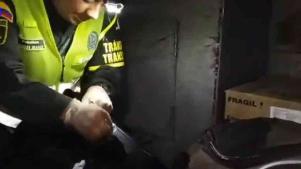 Parte de los hallazgos de las autoridades en una flota