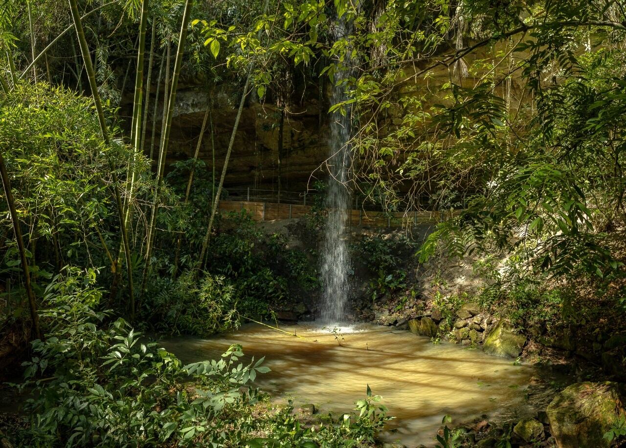 Proyecto red de ecoreservas