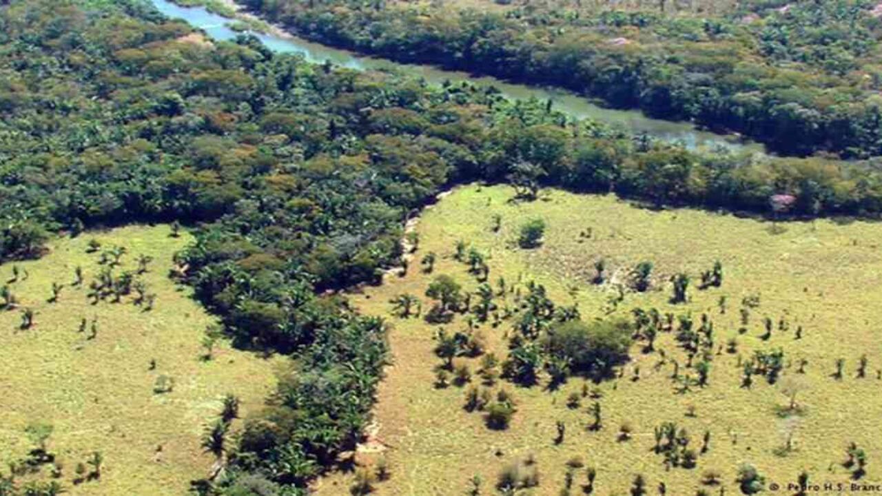 Coronavirus: obispos piden al Gobierno proteger a los indígenas de la Amazonía