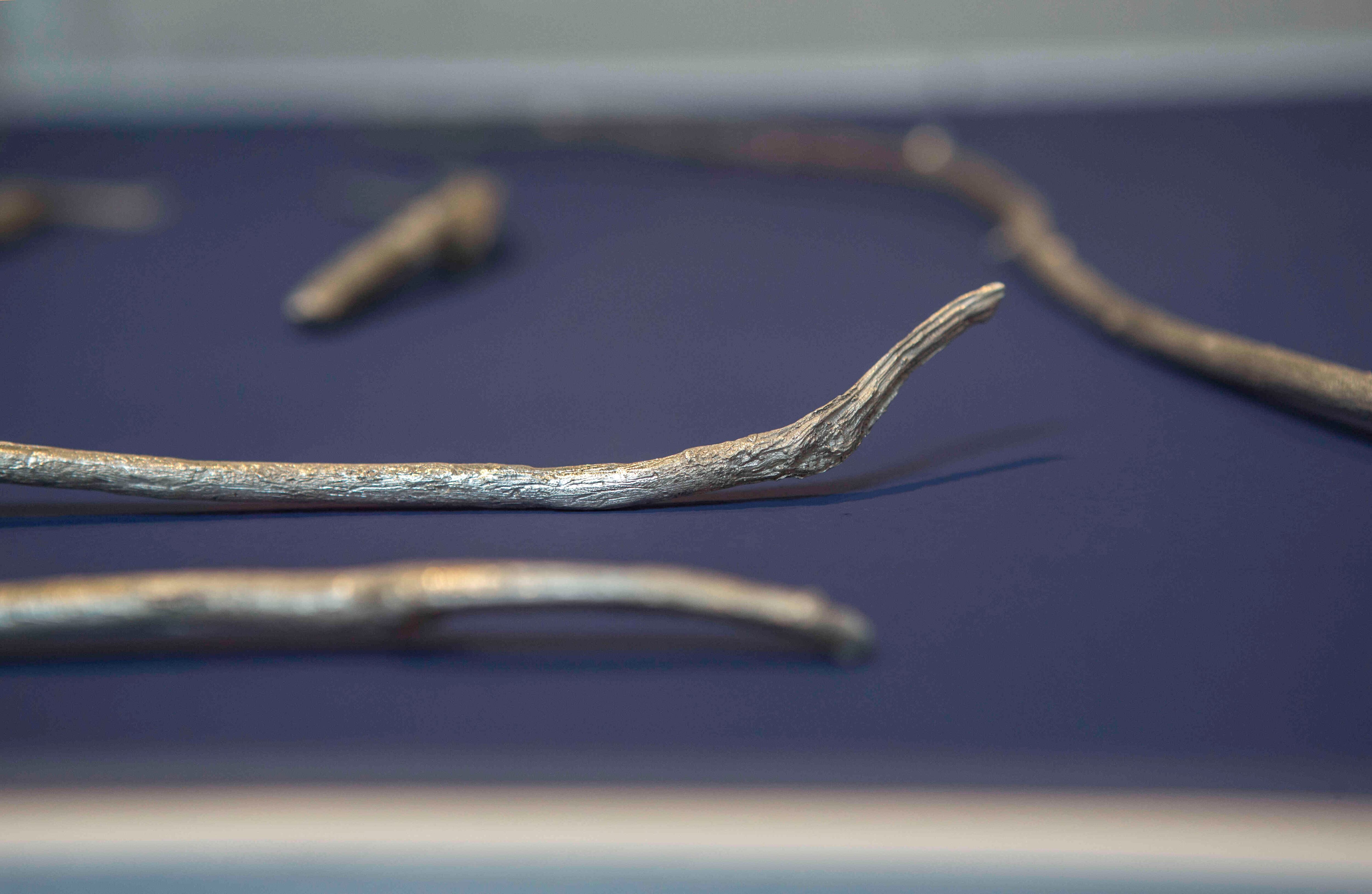 'Silverware (cubiertos de plata)' Herramientas hechas por chimpancés con ramas de la selva, fundidas en plata. Son una metáfora sobre los cubiertos que usan los humanos, comparados con los de los chimpancés.