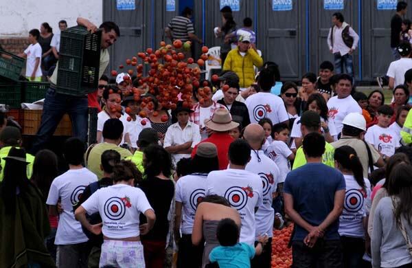 Y llegaron los tomates. Dos volquetas repletas de tomates son vertidas en el centro de la cancha del estadio municipal de Sutamarchán. 