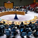 Consejo de Seguridad de la ONU.