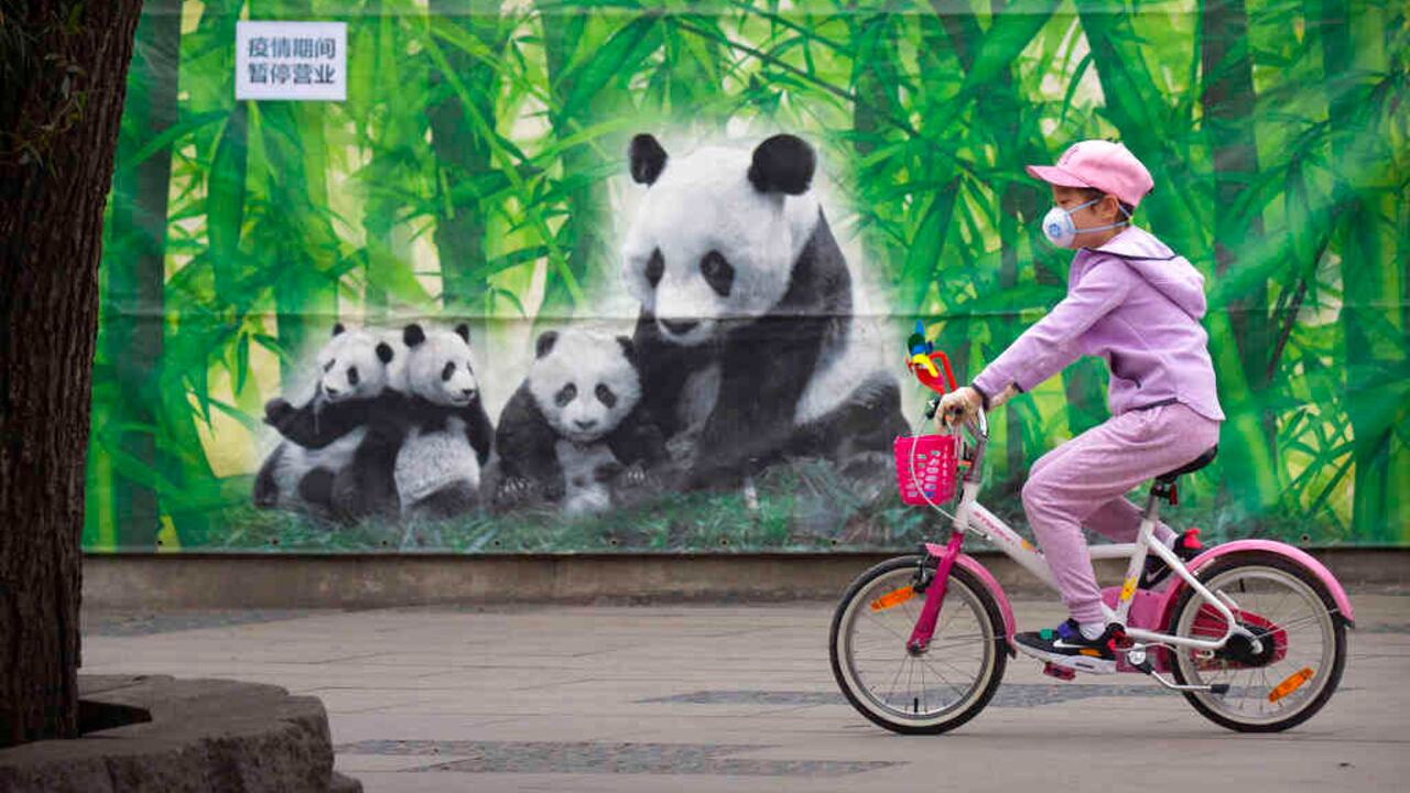 Las personas que quieran entrar o salir de Hubei o Wuhan podrán hacerlo, siempre que presenten un código QR "verde" en el teléfono móvil. Lo emiten las autoridades y certifica que no está infectado con el nuevo coronavirus.