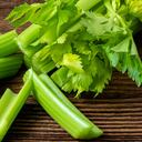 Es una planta de la familia del hinojo y el perejil.