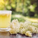 Fresh Meadowsweet, Filipendula ulmaria flowers tea infusion in tea cup and fresh picked flower next to it. Back lit.