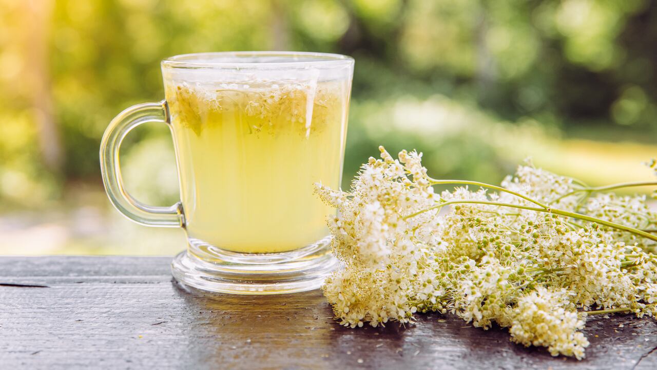 Esta hierba medicinal contiene taninos, flavonoides, ácidos orgánicos como los ácidos cítrico, málico y salicílico.