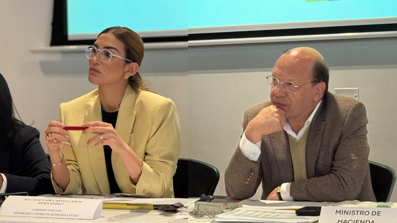 Saray Robayo, representante a la Cámara por el partido de la U y el ministro de Hacienda, Germán Ávila Plazas.