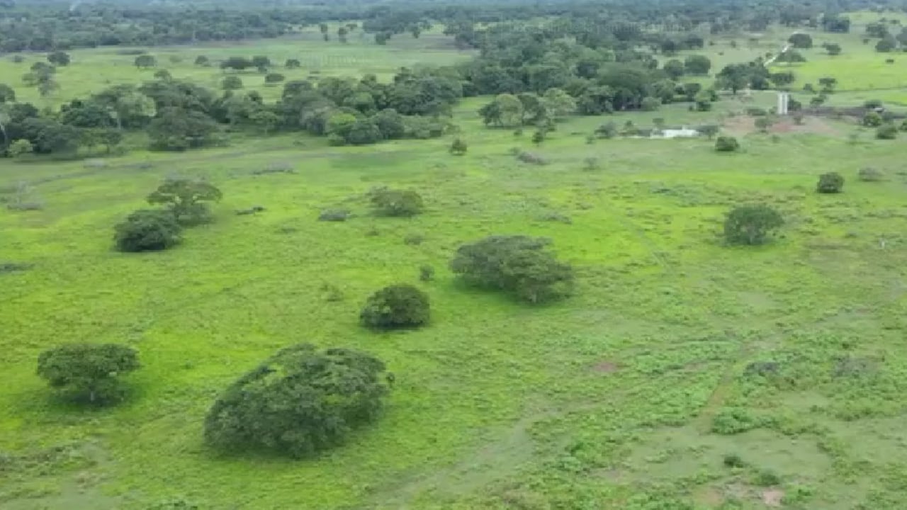 La finca Las Américas, ubicada en la vereda Perete del corregimiento Mandinguilla, en Chimichagua (Cesar).