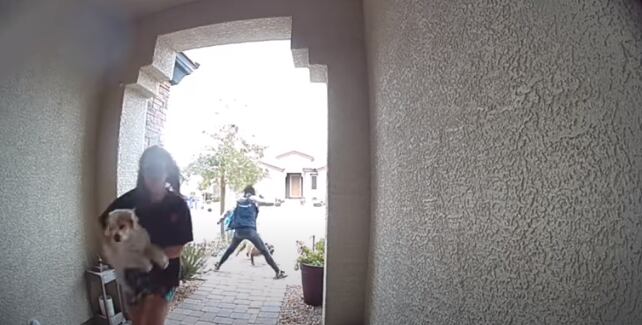 Joven salva a una mujer y su mascota