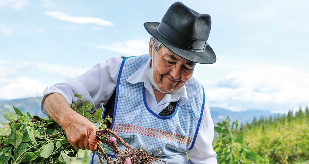 El número de mujeres no pensionadas en el país casi duplica la cifra de los hombres. 