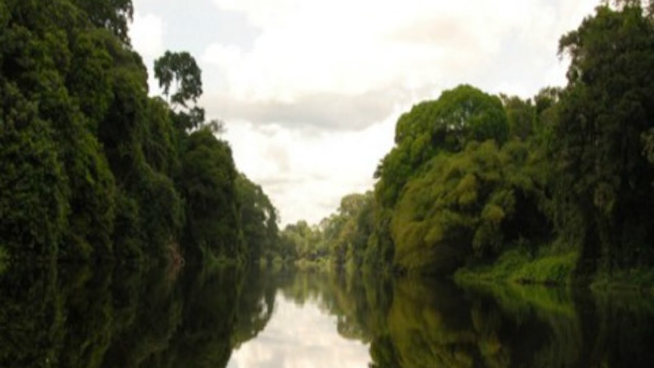 Los servicios ecosistémicos tienen un papel fundamental en la sociedad.