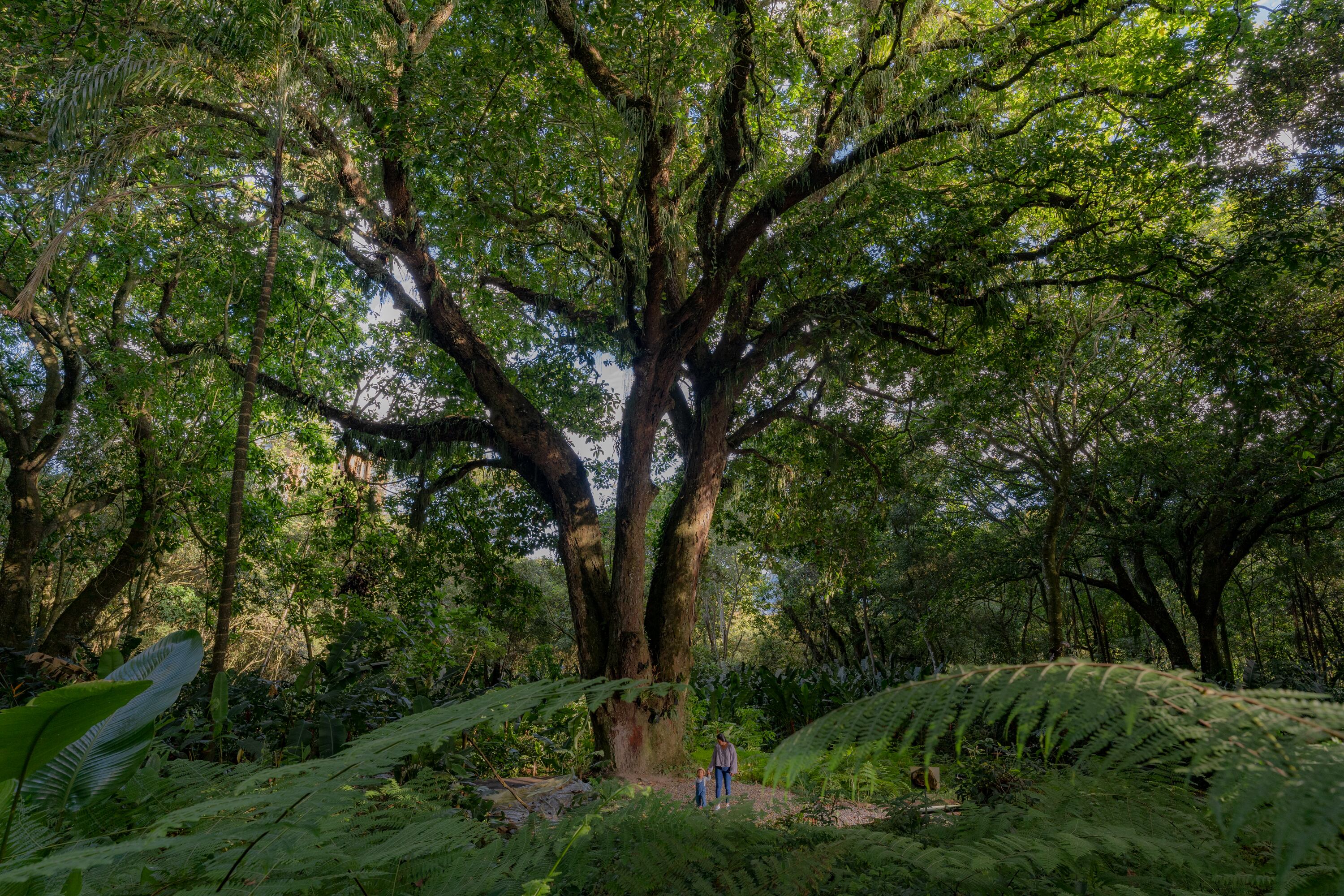 Mariposario Ibagué