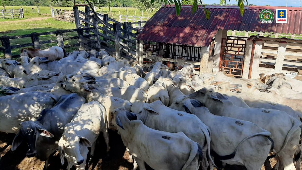 La Fiscalía ocupó con fines de extinción de dominio más de un billón de pesos en propiedades del extraditado esmeraldero Pedro Orejas.