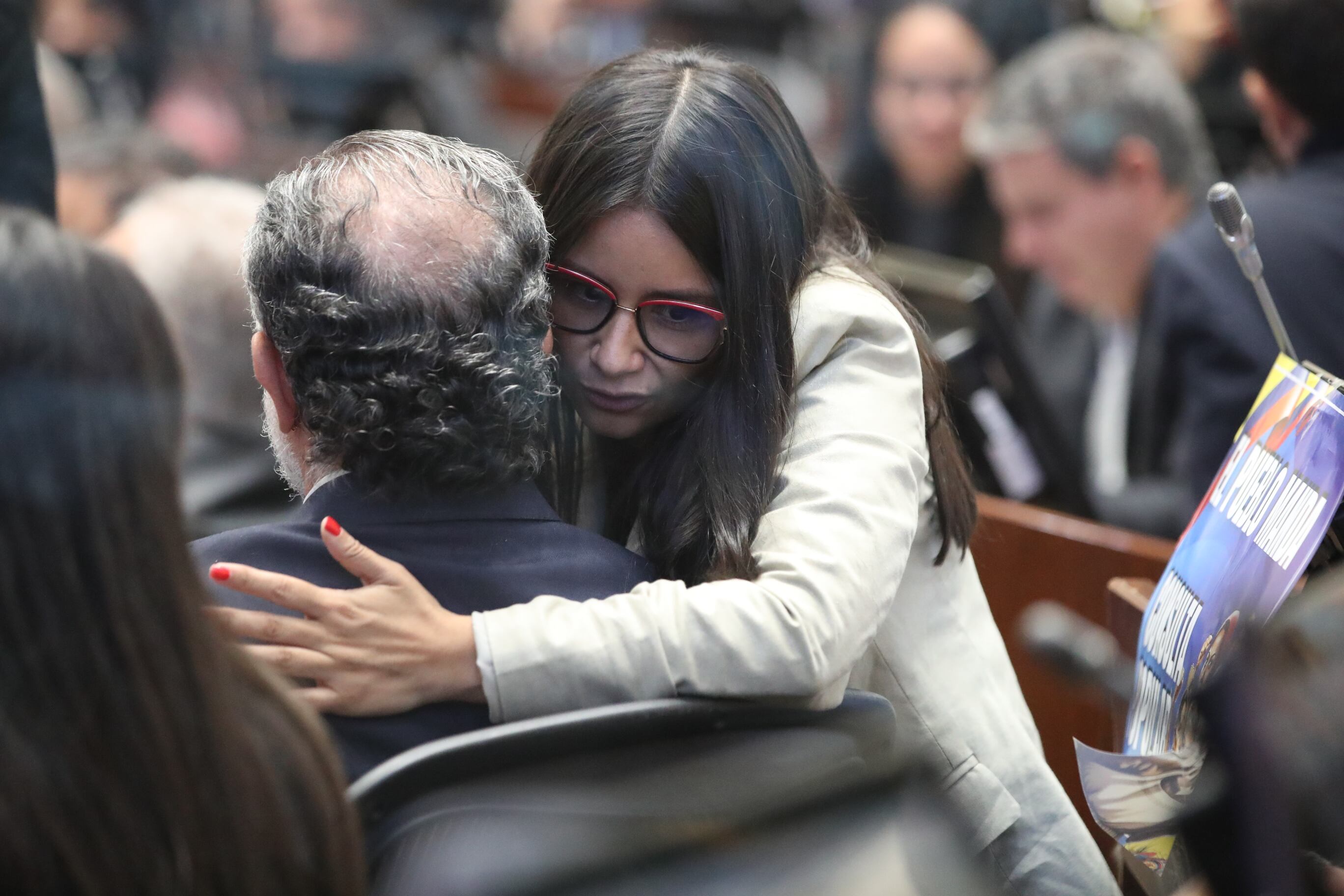 Plenaria Senado, consulta popular