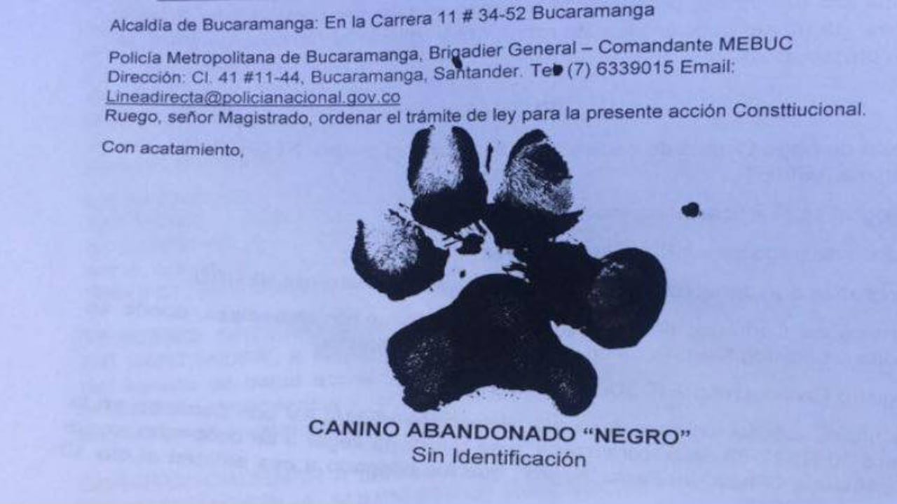 Facebook: Santander por Naturaleza