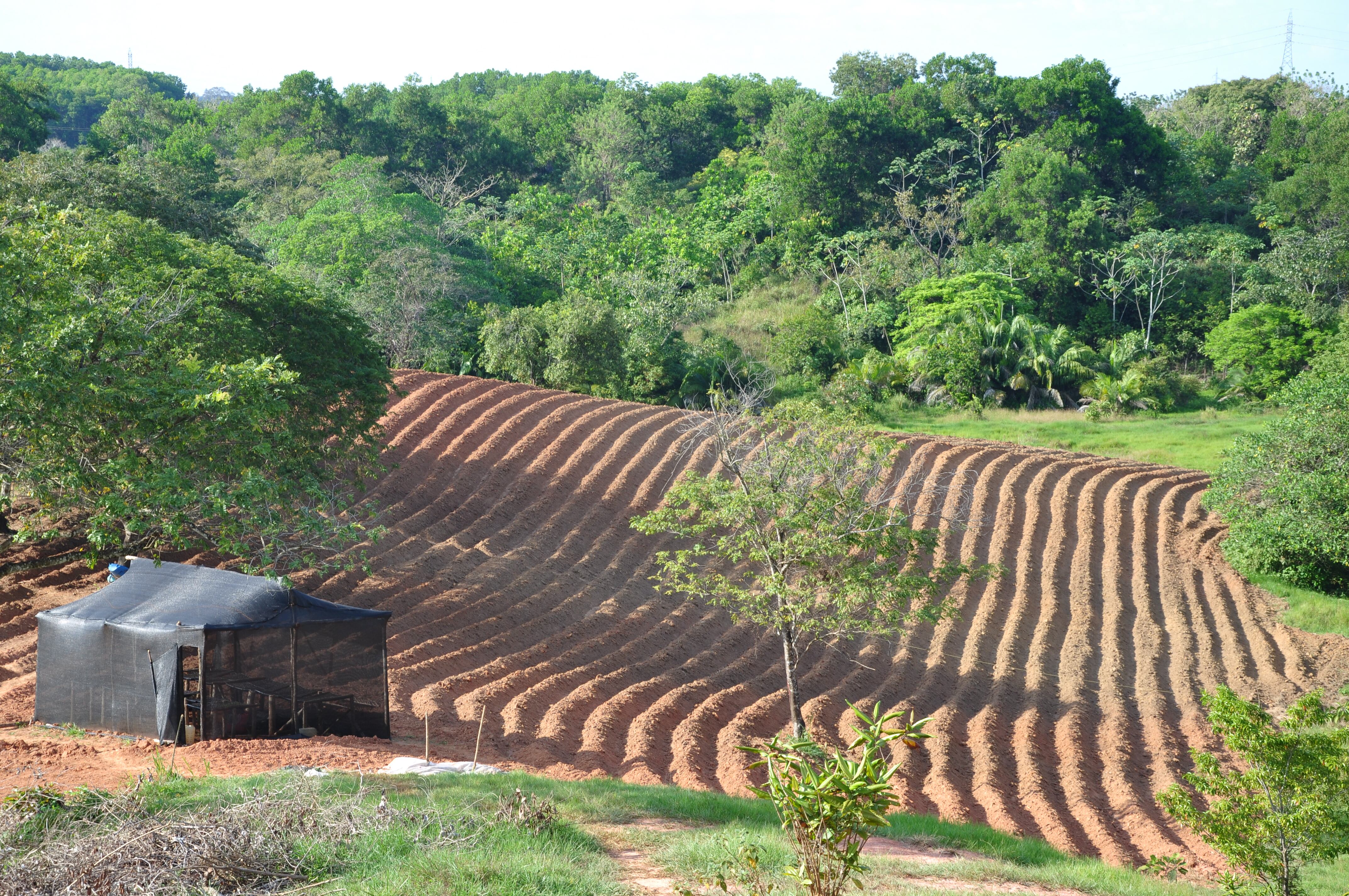 Los proyectos mineros liderados por las empresas que trabajan en el territorio han transformado el paisaje en varias zonas del país.