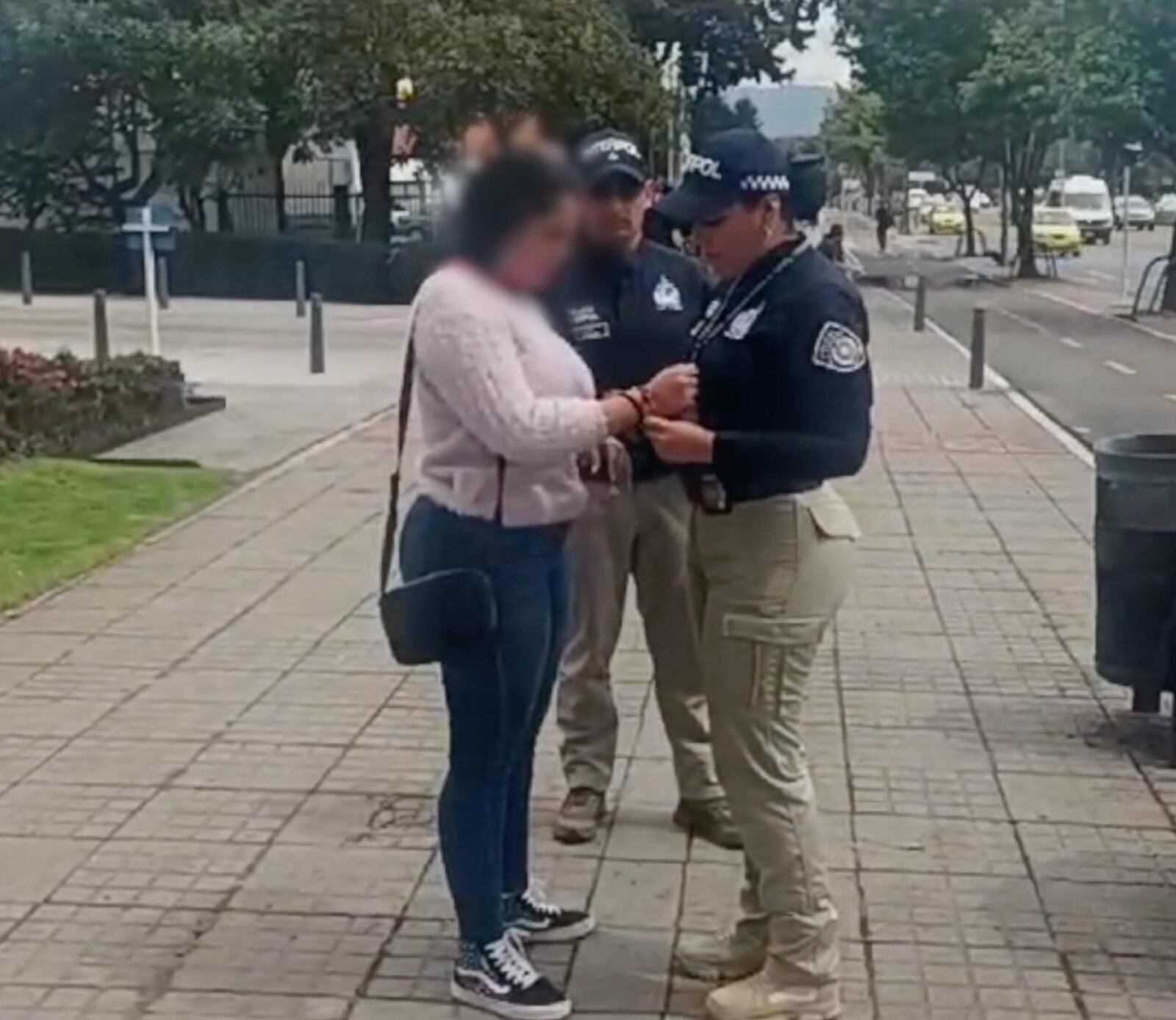 Diana Carolina Caramache Milean, es reseñada por la Interpol, es capturada por la Interpol.