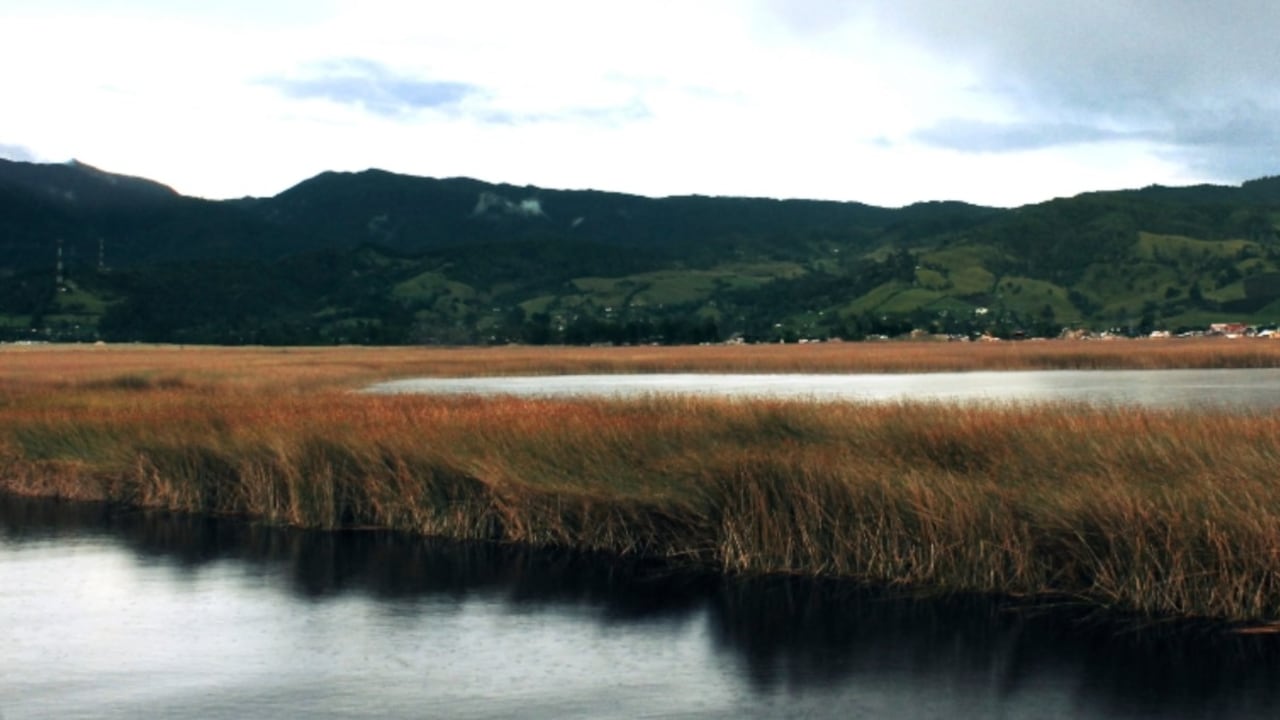 Laguna de La Cocha, Santuario natural de agua y energía
