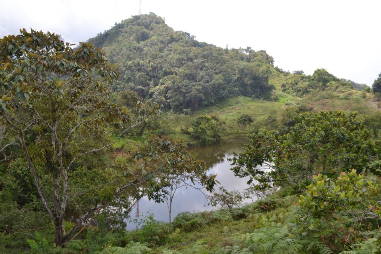 Lagunas en Tununguá